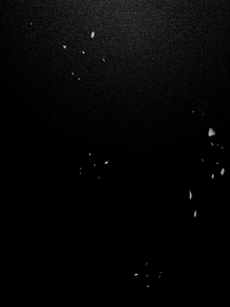 Dưỡng Địch Vi Hoạn Chapter 49 - Trang 2