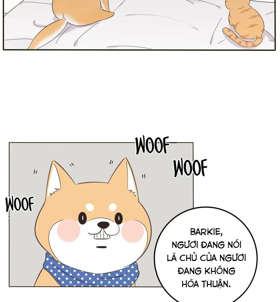 Dương Gian Bách Lý Cẩm Chapter 13 - Trang 2