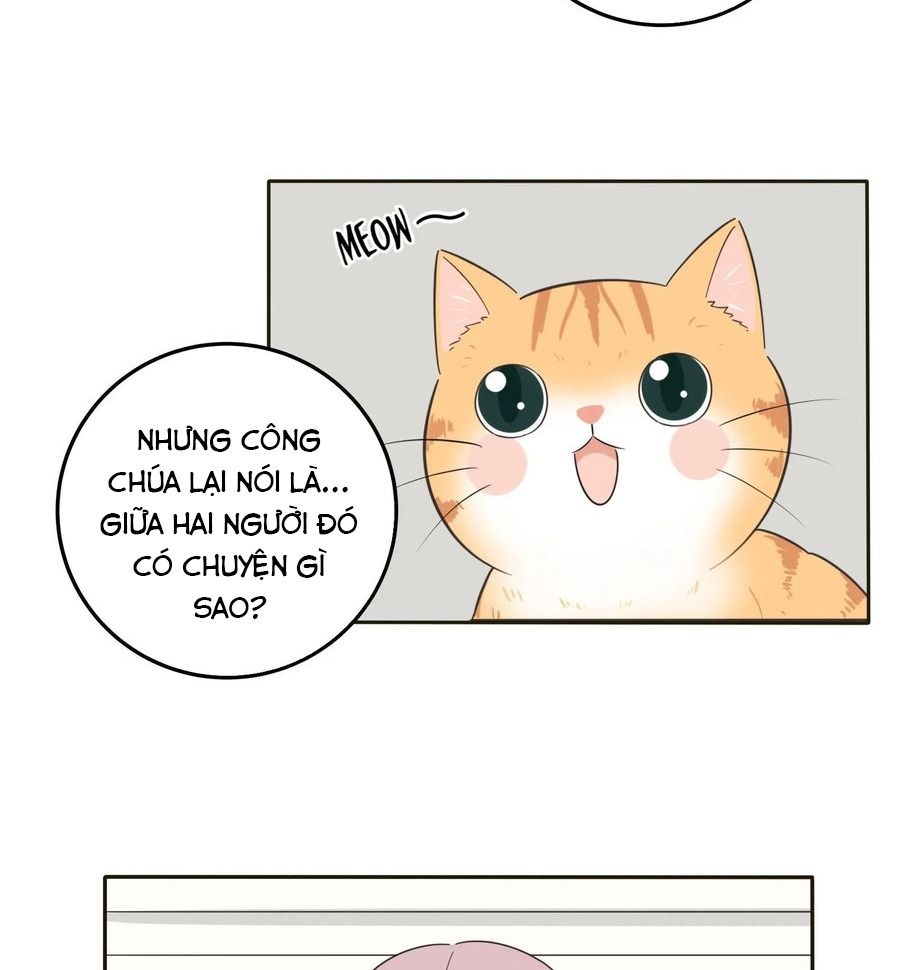 Dương Gian Bách Lý Cẩm Chapter 13 - Trang 2