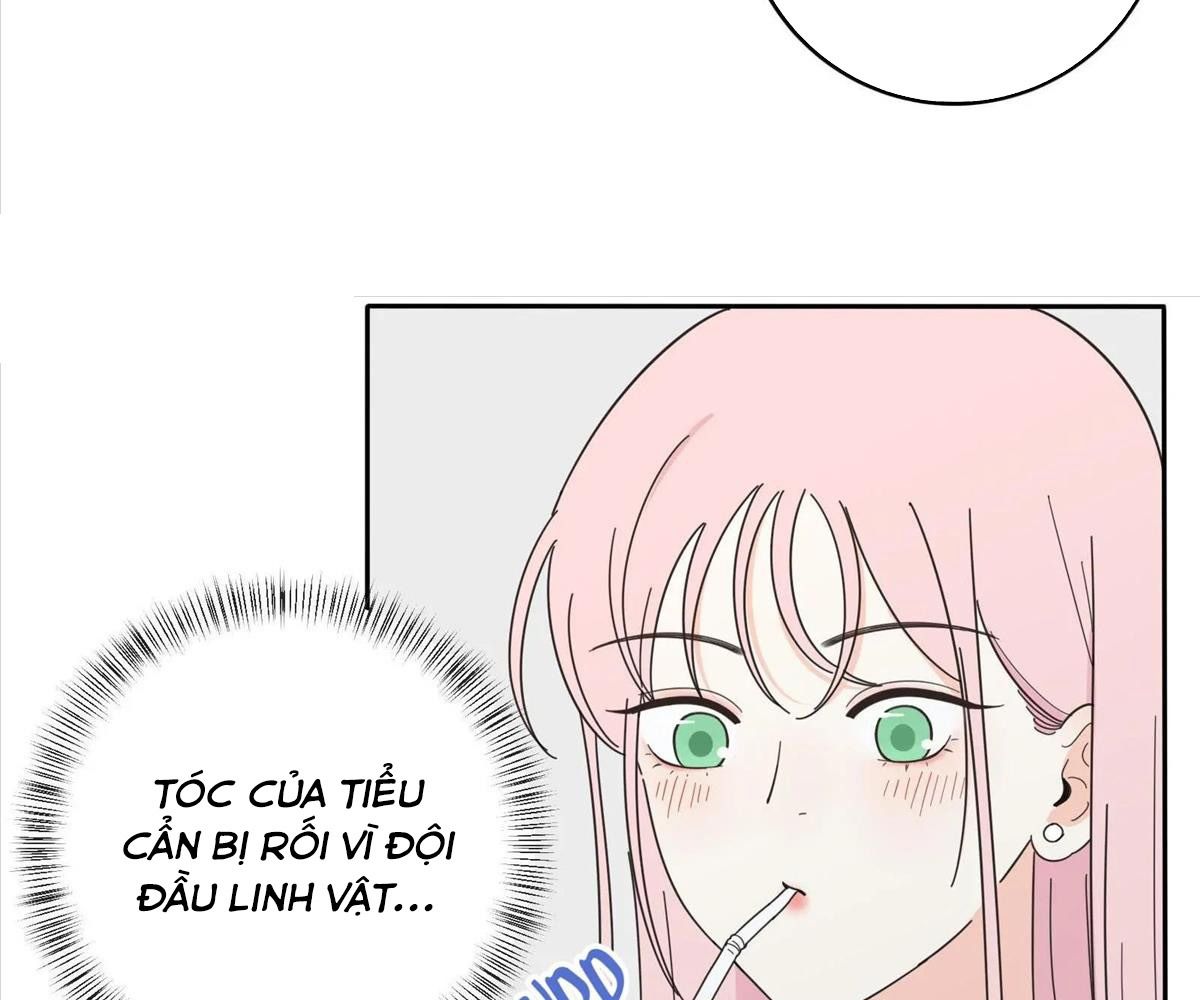 Dương Gian Bách Lý Cẩm Chapter 20 - Trang 2