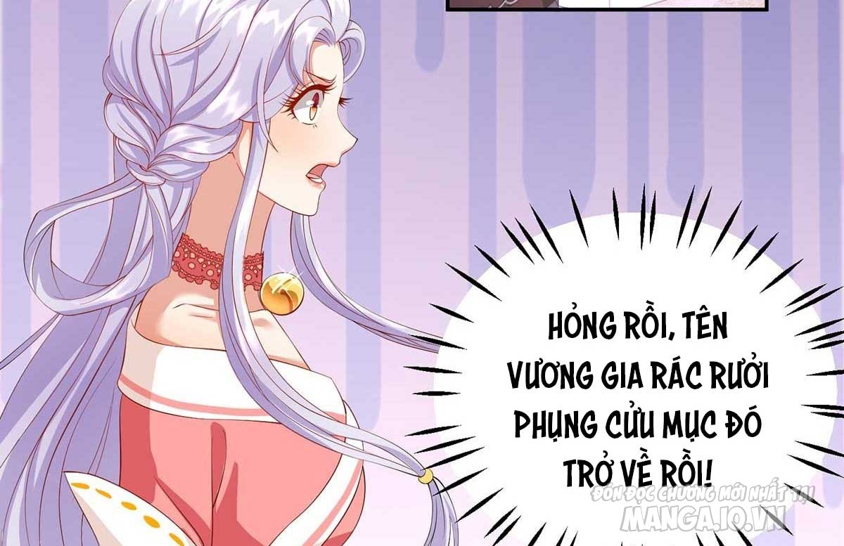 Dưỡng Thú Vi Phi Chapter 3 - Trang 2