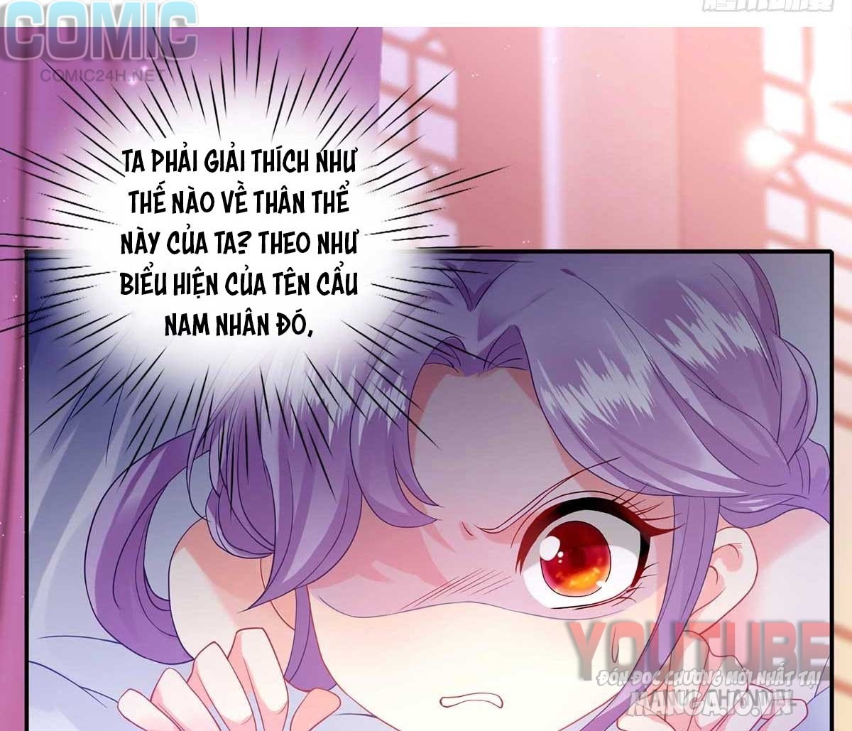 Dưỡng Thú Vi Phi Chapter 3 - Trang 2