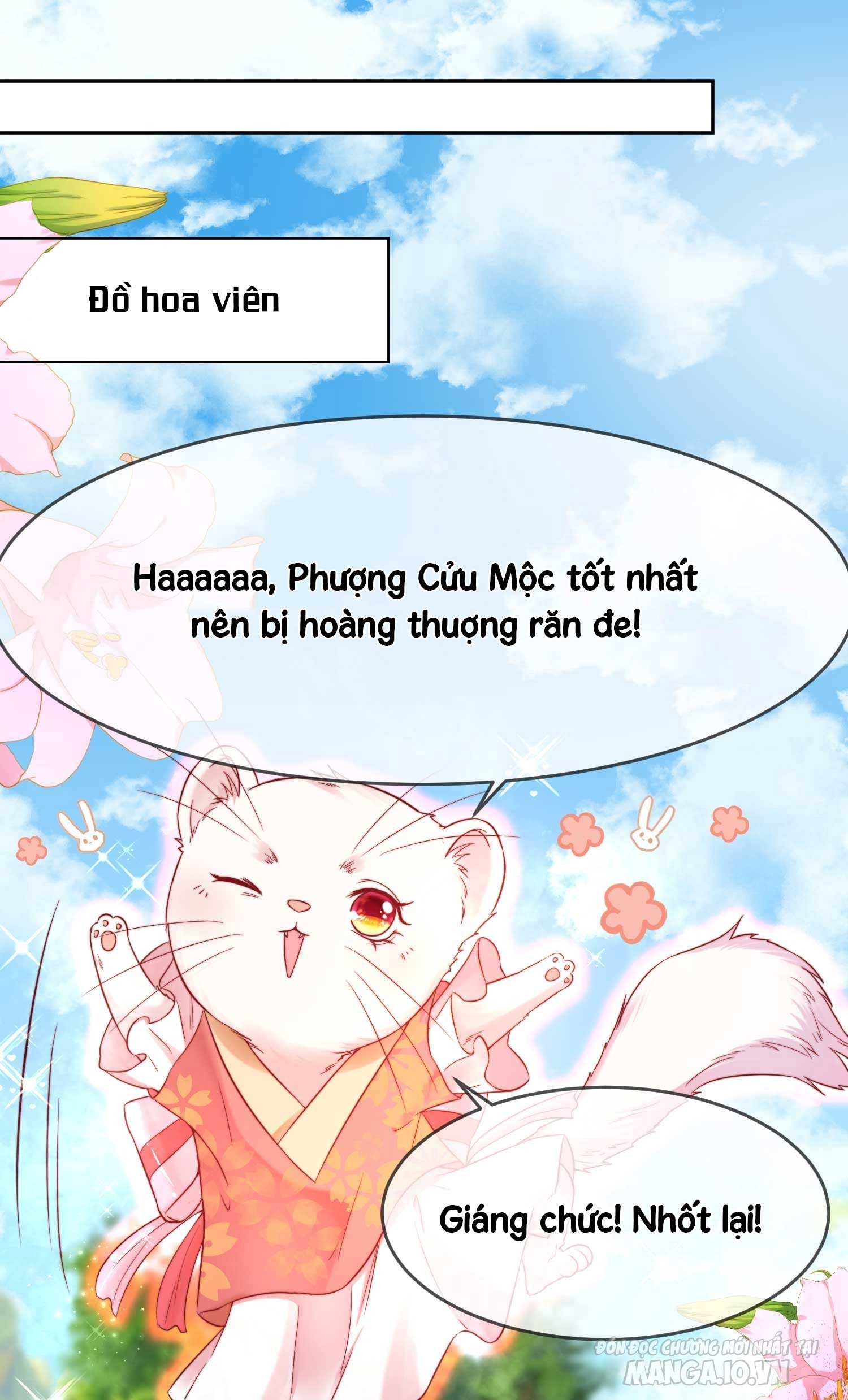 Dưỡng Thú Vi Phi Chapter 5 - Trang 2