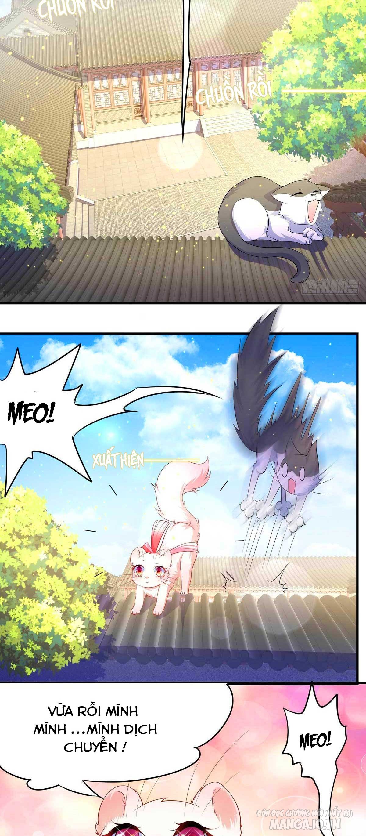 Dưỡng Thú Vi Phi Chapter 6 - Trang 2