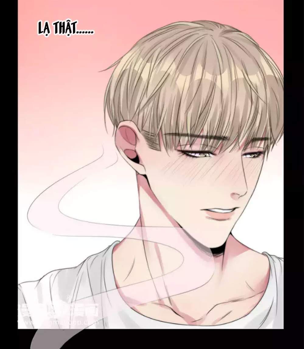 Fan Biến Thái Và Thần Tượng Xinh Đẹp Chapter 21 - Trang 2