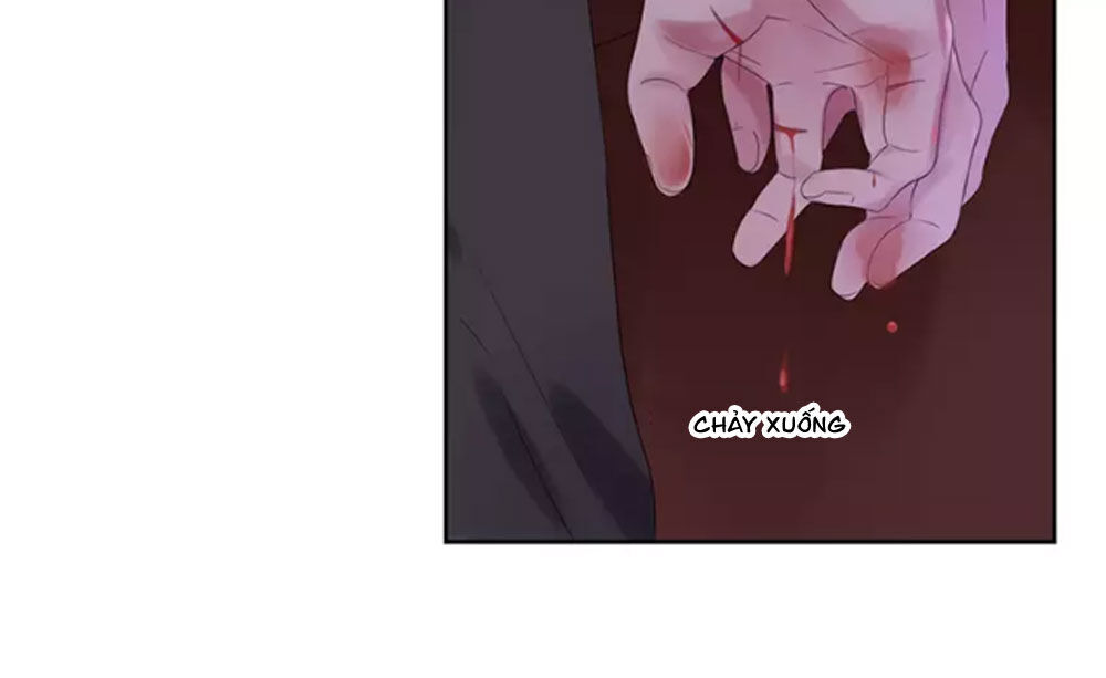 Fan Biến Thái Và Thần Tượng Xinh Đẹp Chapter 23 - Trang 2