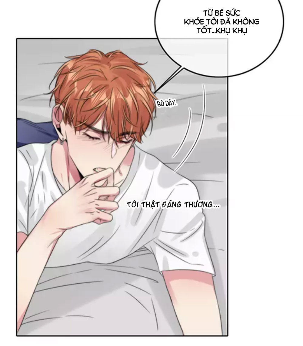 Fan Biến Thái Và Thần Tượng Xinh Đẹp Chapter 43 - Trang 2