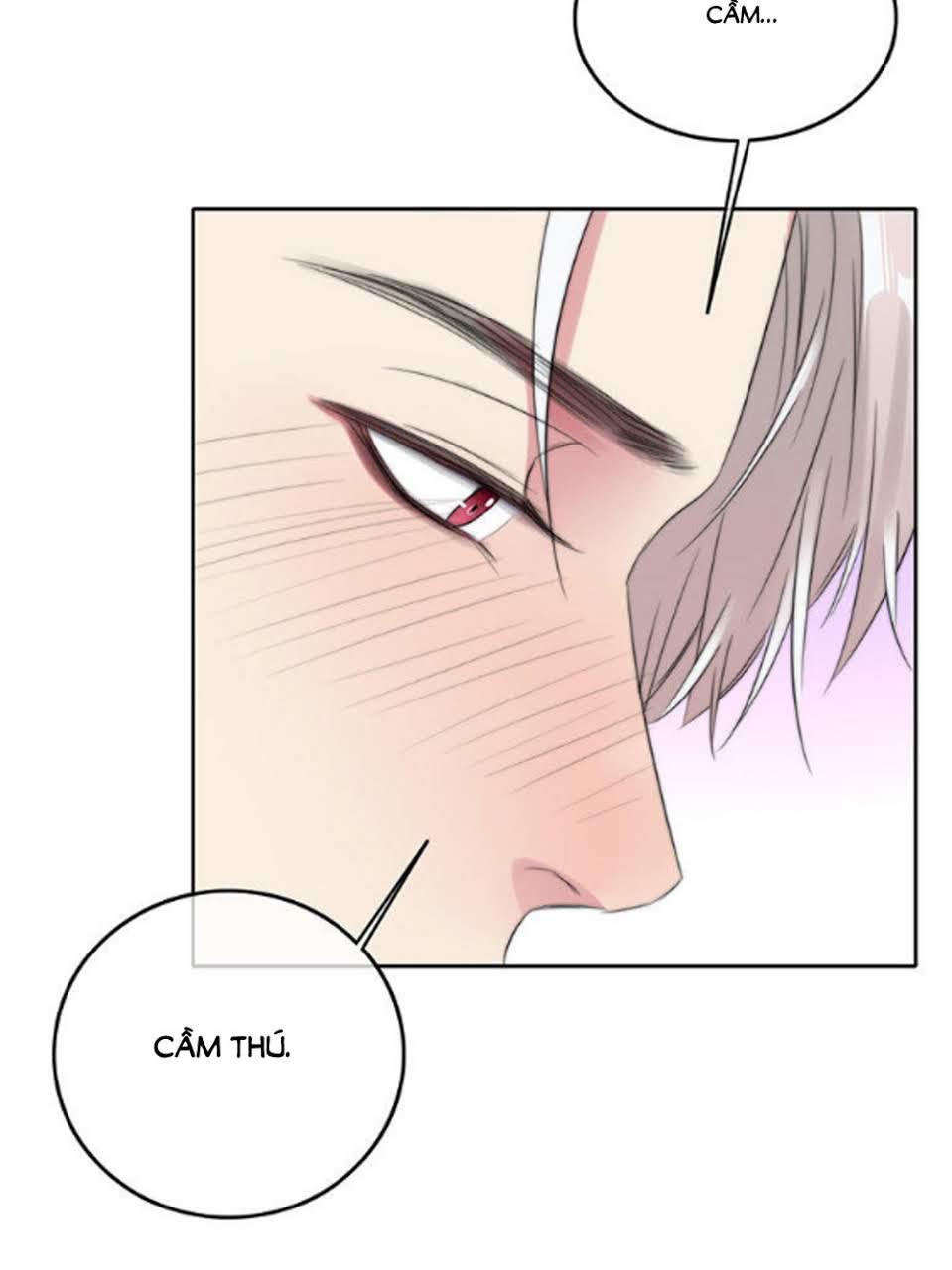 Fan Biến Thái Và Thần Tượng Xinh Đẹp Chapter 49 - Trang 2