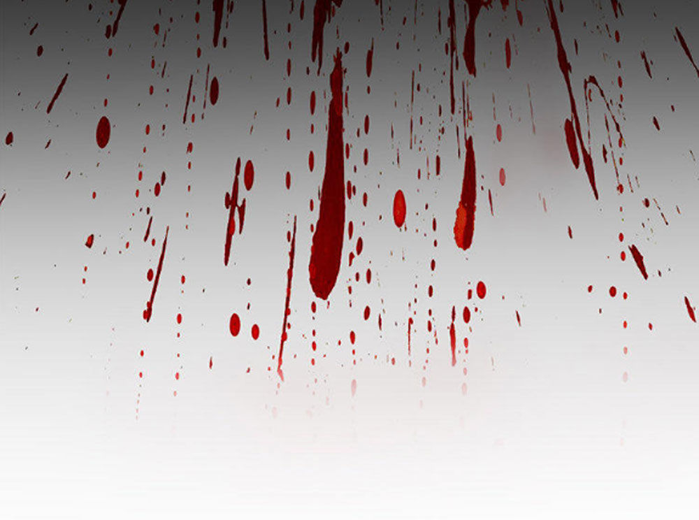 Fan Biến Thái Và Thần Tượng Xinh Đẹp Chapter 56 - Trang 2