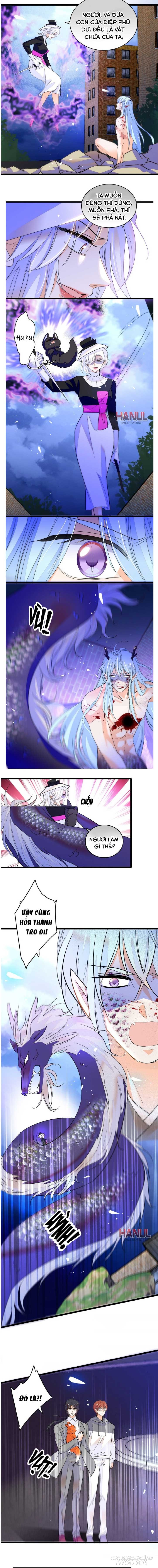 Fan Cp Của Tôi Và Ảnh Đế Trãi Dài Khắp Mxh Chapter 1 - Trang 2