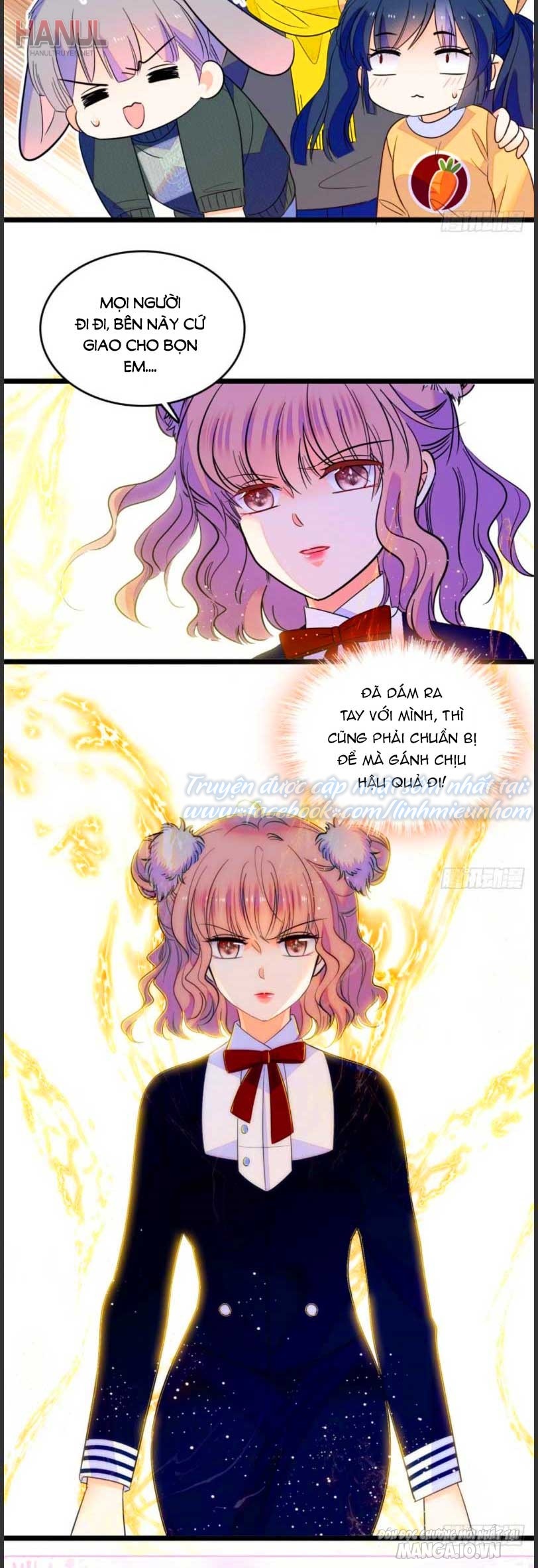 Fan Cp Của Tôi Và Ảnh Đế Trãi Dài Khắp Mxh Chapter 109 - Trang 2