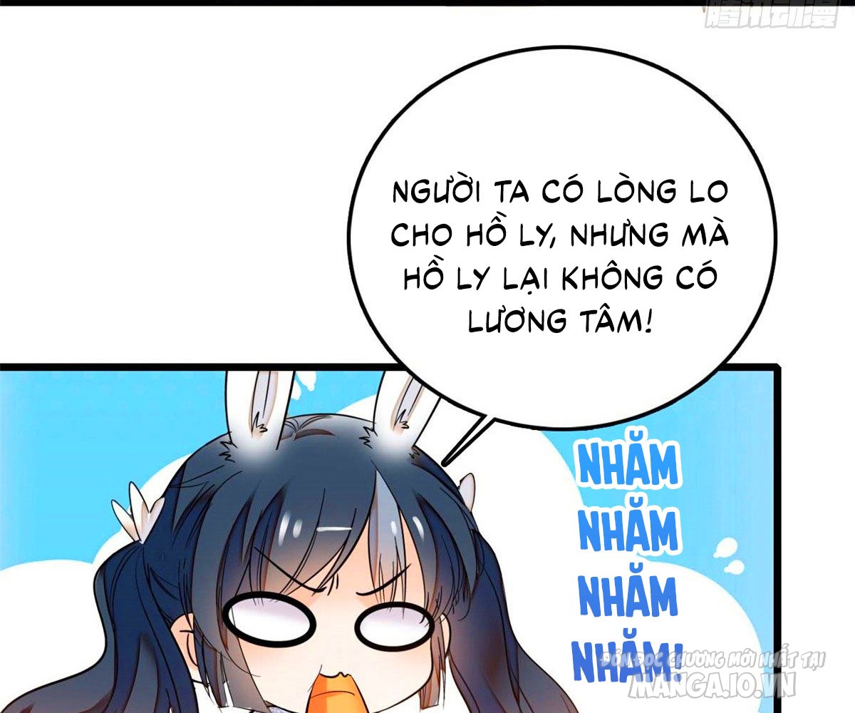 Fan Cp Của Tôi Và Ảnh Đế Trãi Dài Khắp Mxh Chapter 11.2 - Trang 2