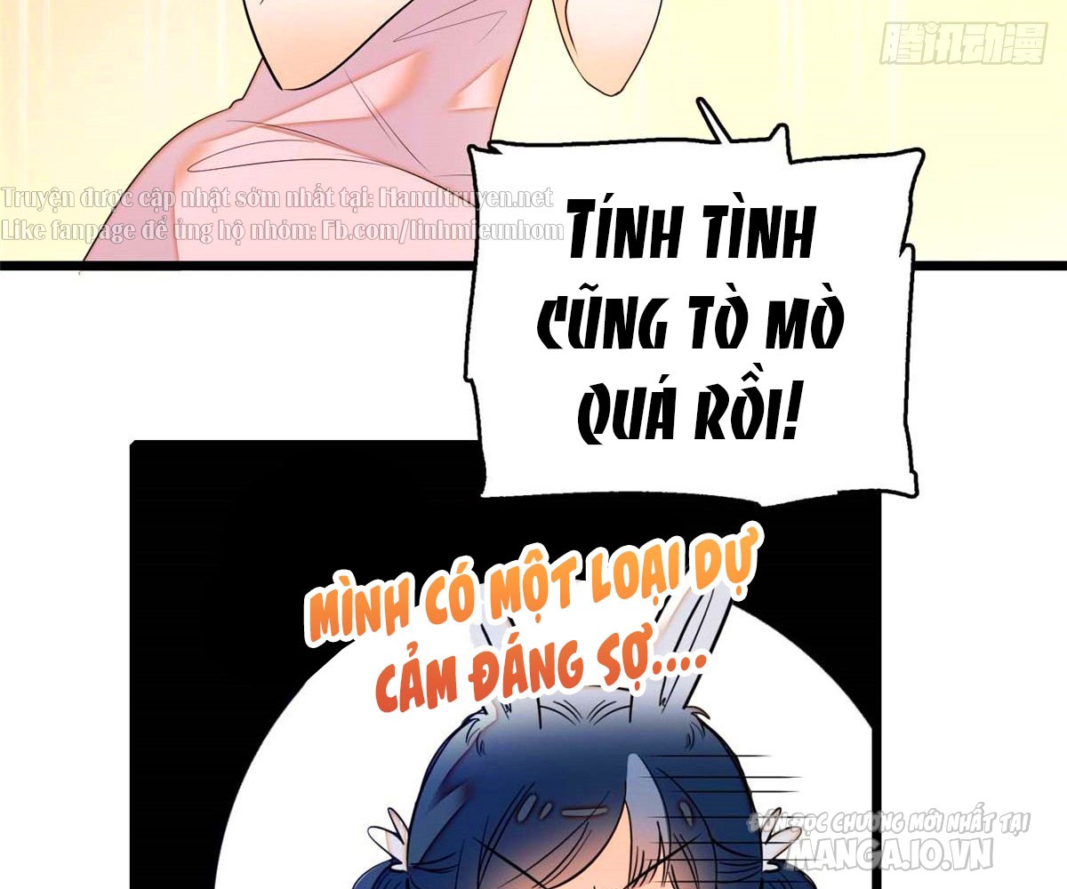 Fan Cp Của Tôi Và Ảnh Đế Trãi Dài Khắp Mxh Chapter 11.2 - Trang 2