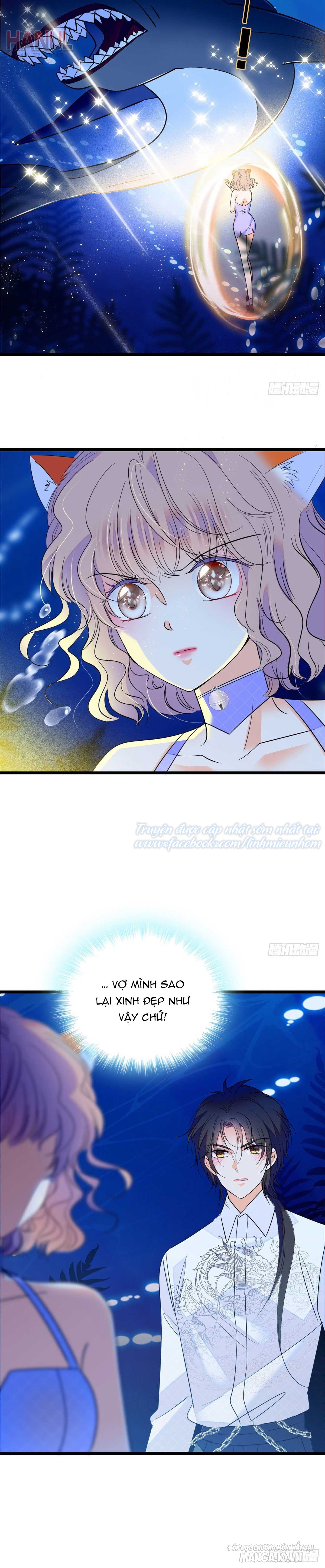 Fan Cp Của Tôi Và Ảnh Đế Trãi Dài Khắp Mxh Chapter 124 - Trang 2