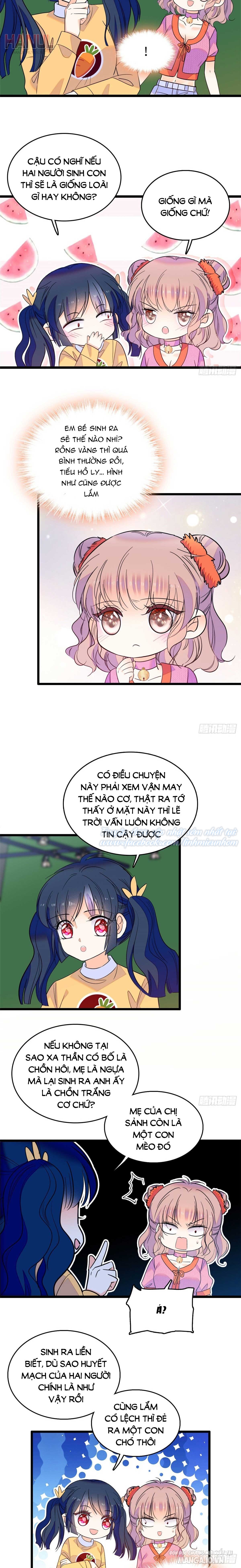 Fan Cp Của Tôi Và Ảnh Đế Trãi Dài Khắp Mxh Chapter 124 - Trang 2