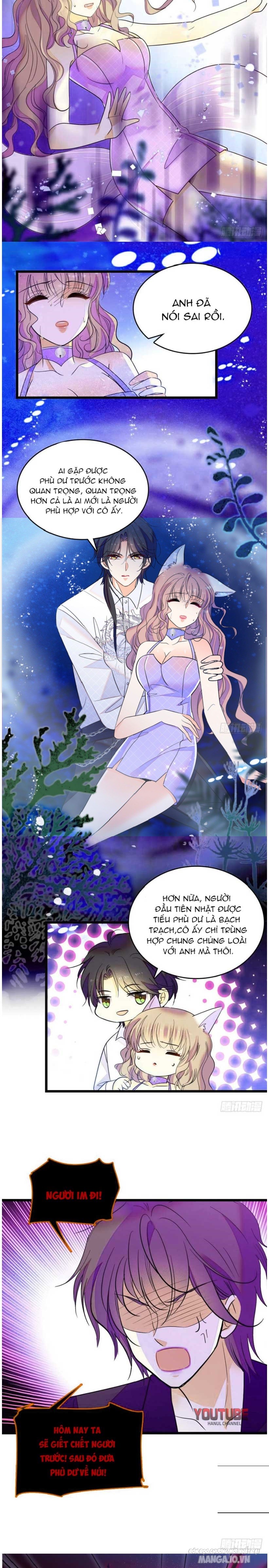 Fan Cp Của Tôi Và Ảnh Đế Trãi Dài Khắp Mxh Chapter 126.1 - Trang 2