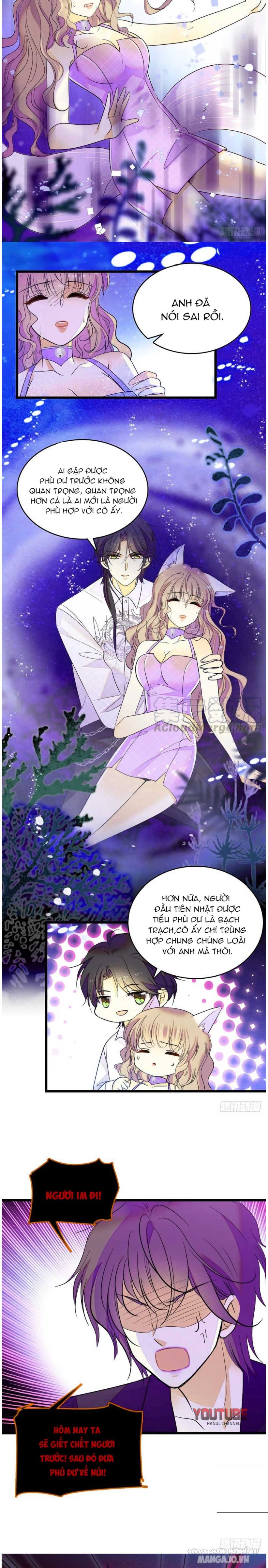 Fan Cp Của Tôi Và Ảnh Đế Trãi Dài Khắp Mxh Chapter 126 - Trang 2