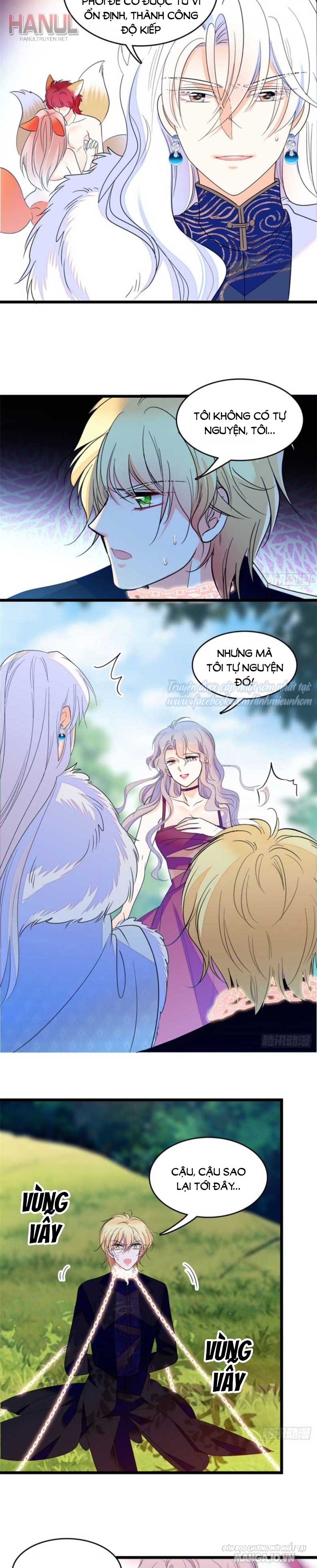 Fan Cp Của Tôi Và Ảnh Đế Trãi Dài Khắp Mxh Chapter 127 - Trang 2