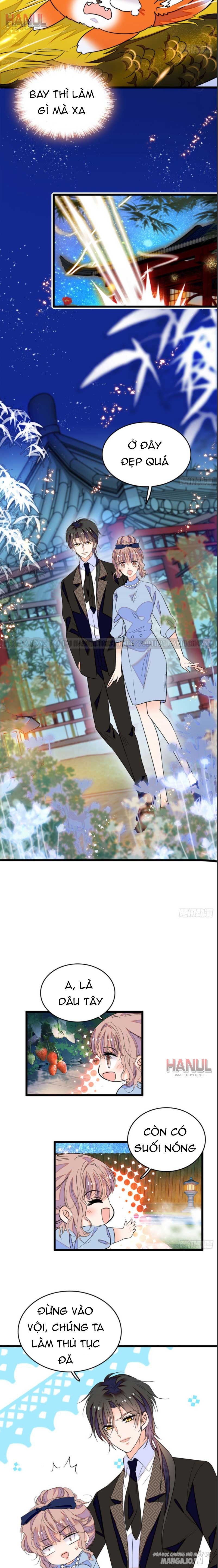 Fan Cp Của Tôi Và Ảnh Đế Trãi Dài Khắp Mxh Chapter 136 - Trang 2