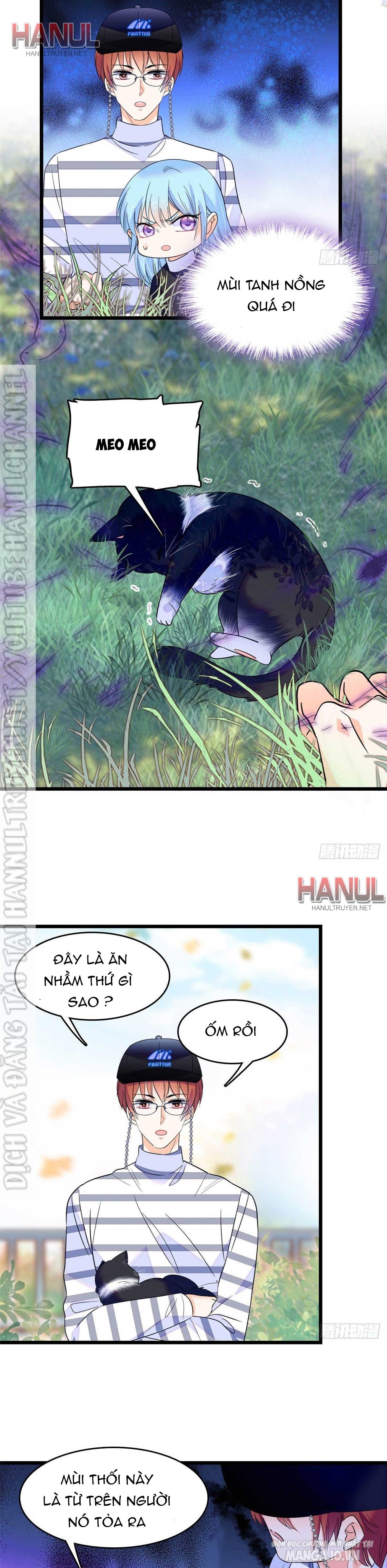 Fan Cp Của Tôi Và Ảnh Đế Trãi Dài Khắp Mxh Chapter 152 - Trang 2