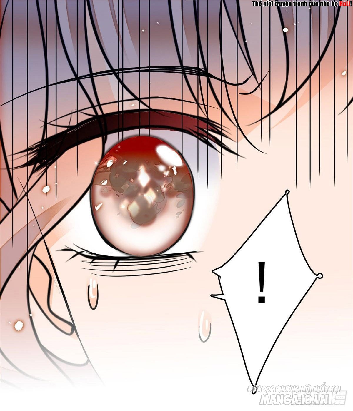 Fan Cp Của Tôi Và Ảnh Đế Trãi Dài Khắp Mxh Chapter 19.2 - Trang 2