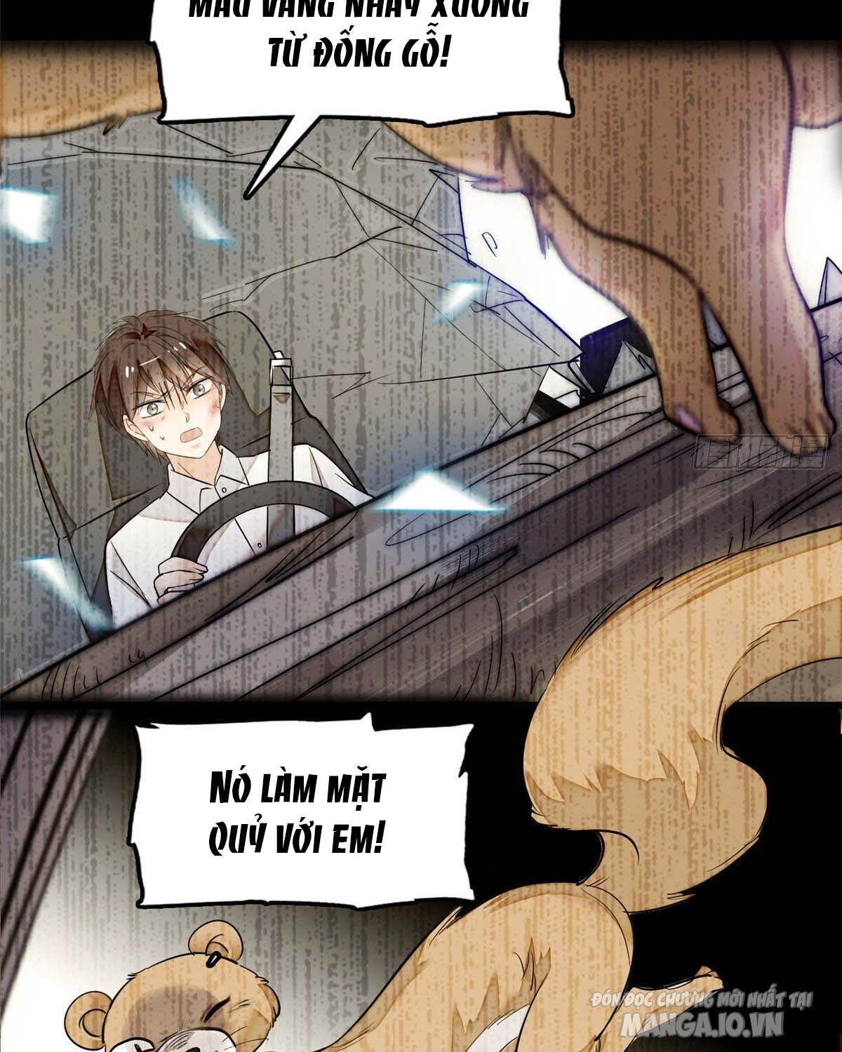 Fan Cp Của Tôi Và Ảnh Đế Trãi Dài Khắp Mxh Chapter 22.2 - Trang 2