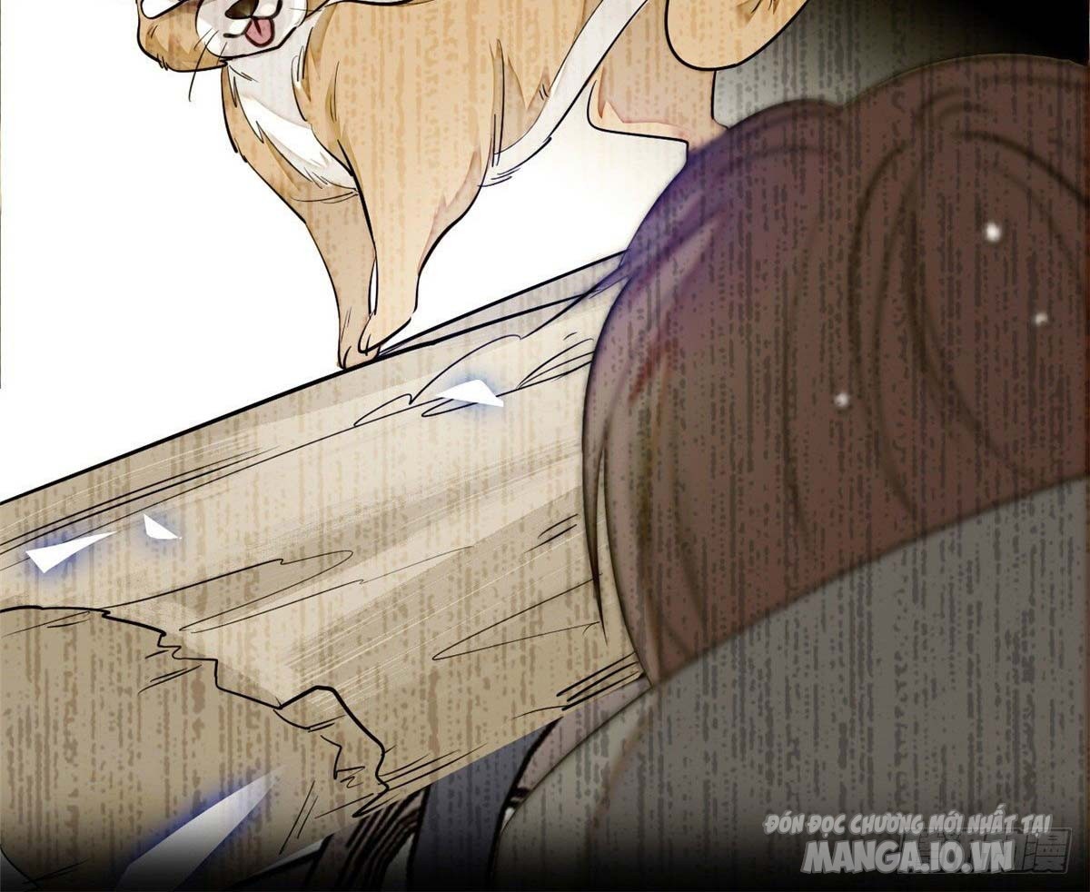Fan Cp Của Tôi Và Ảnh Đế Trãi Dài Khắp Mxh Chapter 22.2 - Trang 2