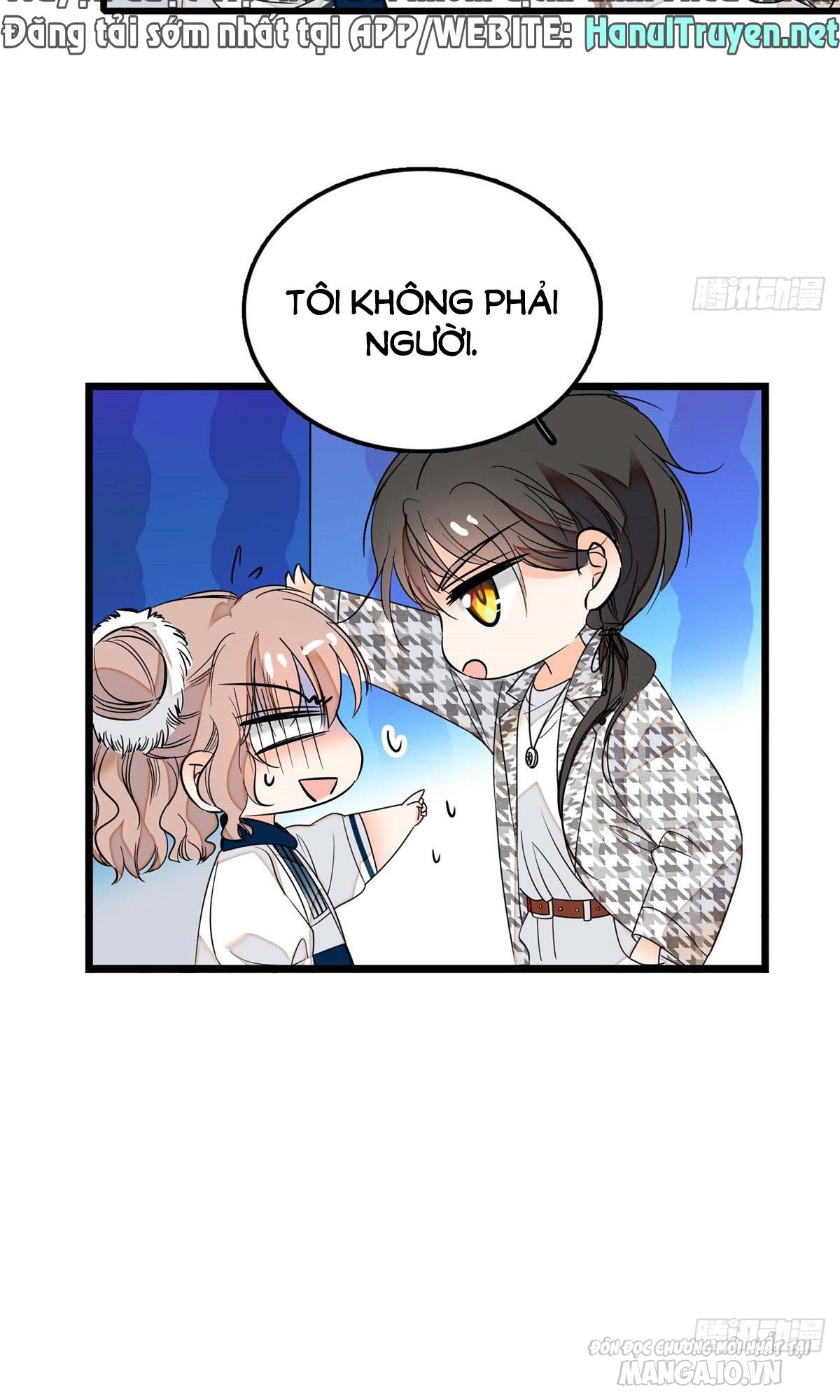 Fan Cp Của Tôi Và Ảnh Đế Trãi Dài Khắp Mxh Chapter 3.1 - Trang 2