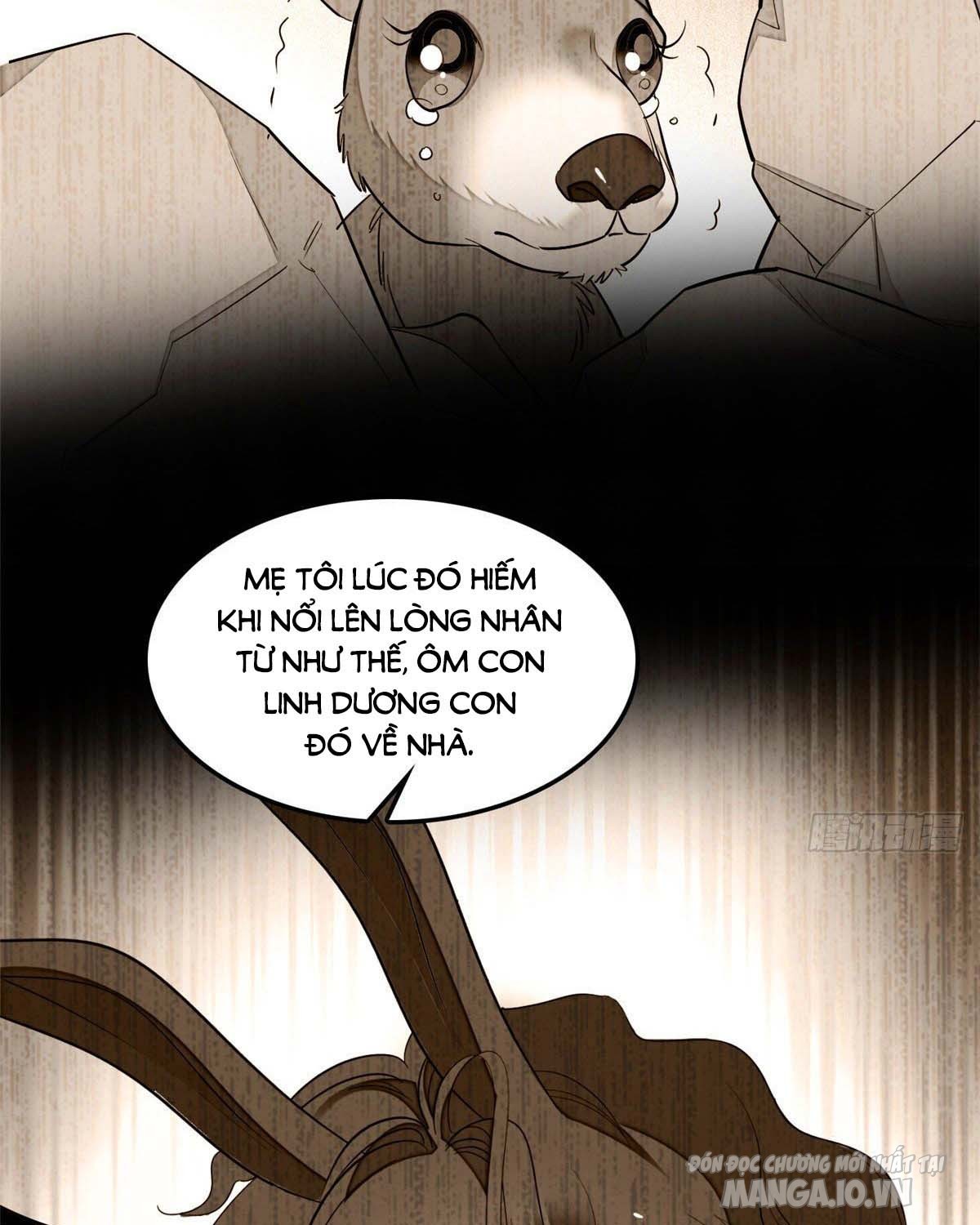 Fan Cp Của Tôi Và Ảnh Đế Trãi Dài Khắp Mxh Chapter 37 - Trang 2