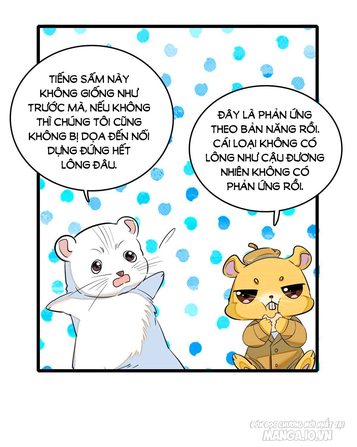 Fan Cp Của Tôi Và Ảnh Đế Trãi Dài Khắp Mxh Chapter 39.1 - Trang 2