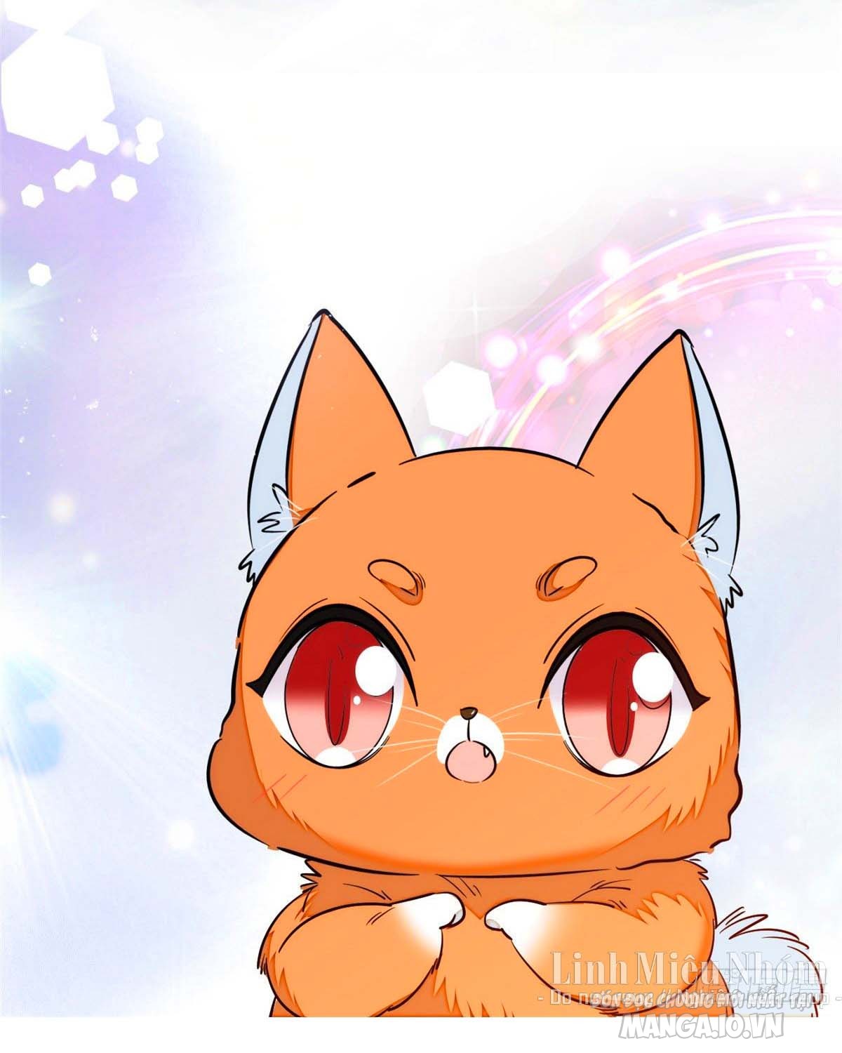 Fan Cp Của Tôi Và Ảnh Đế Trãi Dài Khắp Mxh Chapter 39.2 - Trang 2