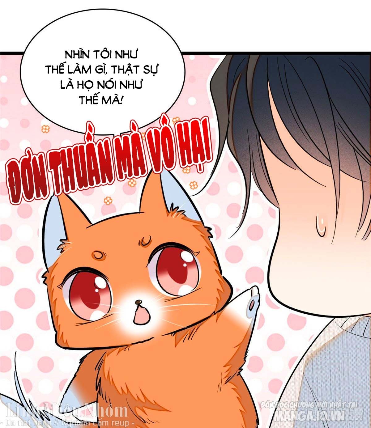 Fan Cp Của Tôi Và Ảnh Đế Trãi Dài Khắp Mxh Chapter 39.2 - Trang 2