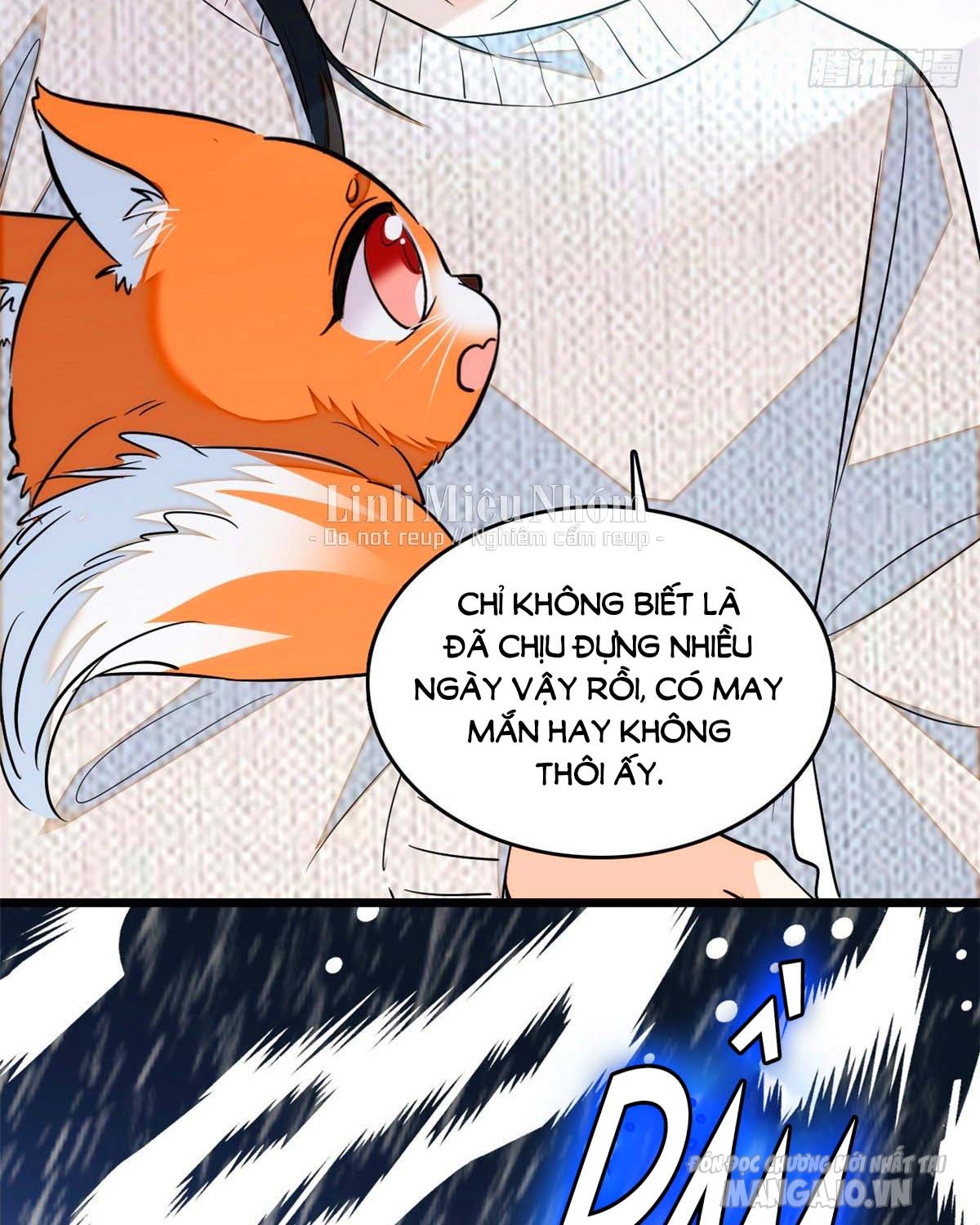 Fan Cp Của Tôi Và Ảnh Đế Trãi Dài Khắp Mxh Chapter 39.2 - Trang 2