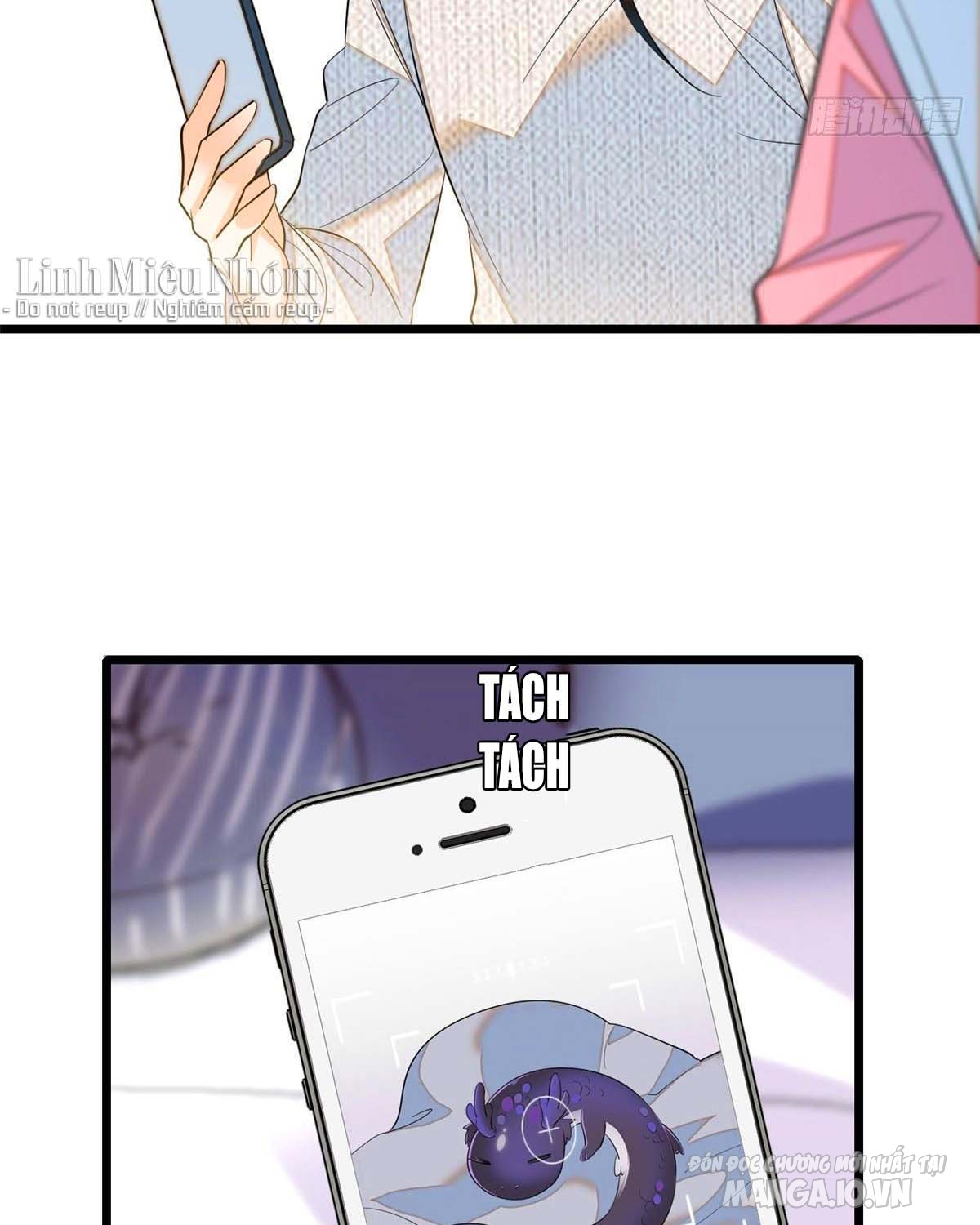 Fan Cp Của Tôi Và Ảnh Đế Trãi Dài Khắp Mxh Chapter 40.2 - Trang 2