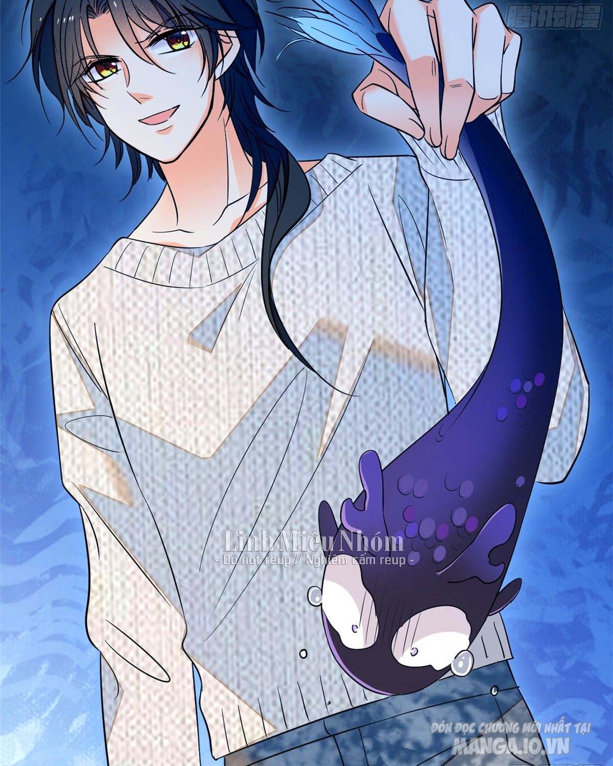 Fan Cp Của Tôi Và Ảnh Đế Trãi Dài Khắp Mxh Chapter 41.1 - Trang 2