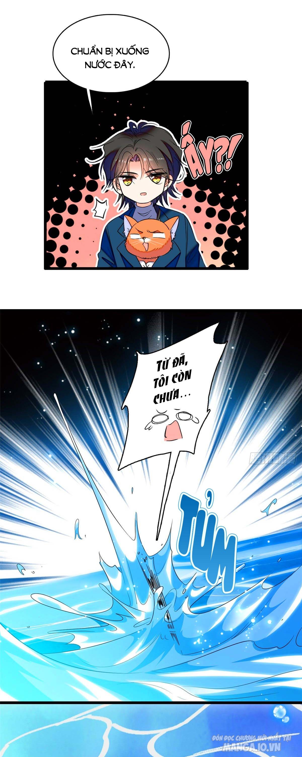 Fan Cp Của Tôi Và Ảnh Đế Trãi Dài Khắp Mxh Chapter 53.1 - Trang 2