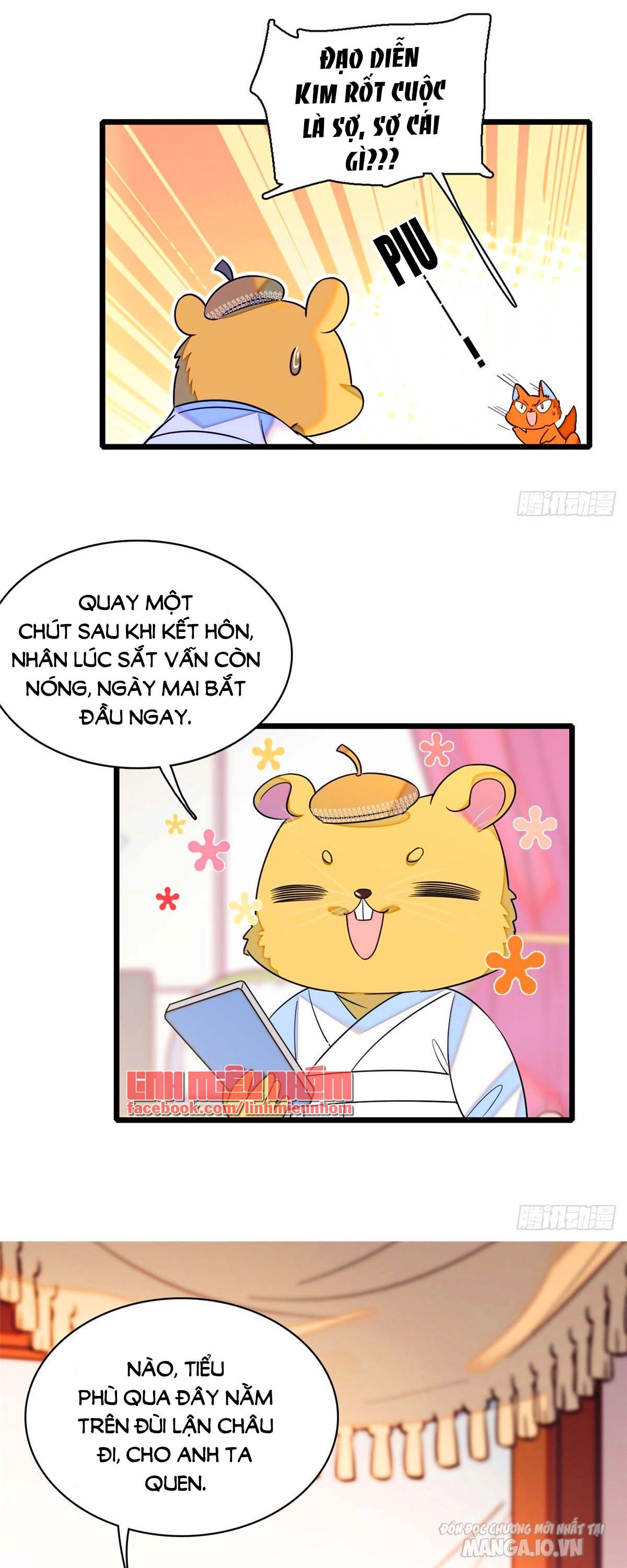 Fan Cp Của Tôi Và Ảnh Đế Trãi Dài Khắp Mxh Chapter 65.1 - Trang 2