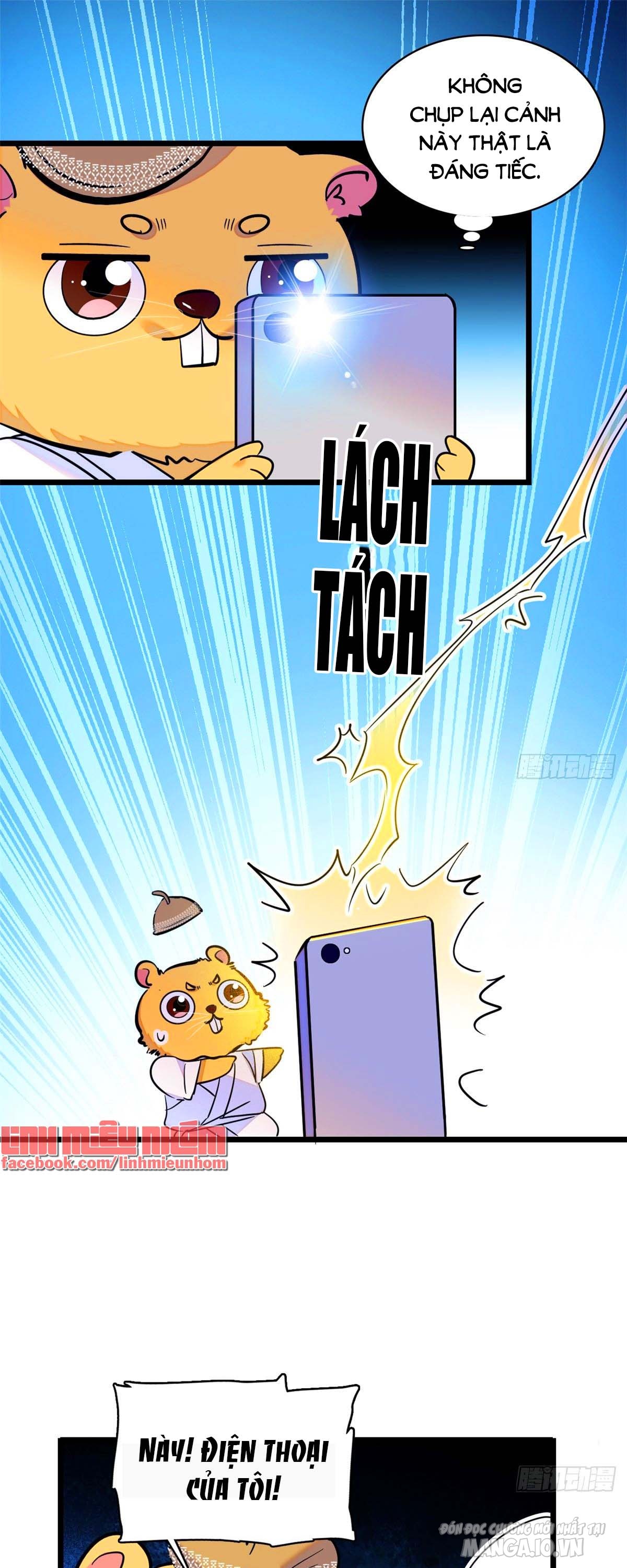 Fan Cp Của Tôi Và Ảnh Đế Trãi Dài Khắp Mxh Chapter 65.2 - Trang 2