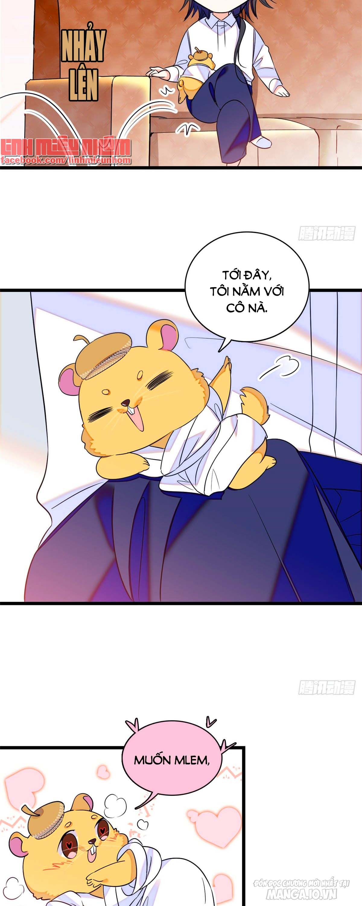 Fan Cp Của Tôi Và Ảnh Đế Trãi Dài Khắp Mxh Chapter 65.2 - Trang 2