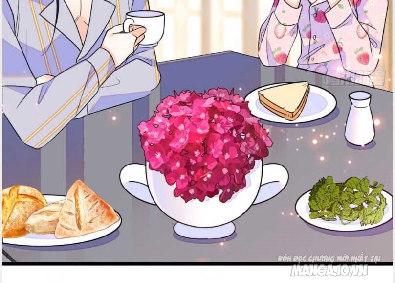 Fan Cp Của Tôi Và Ảnh Đế Trãi Dài Khắp Mxh Chapter 93 - Trang 2