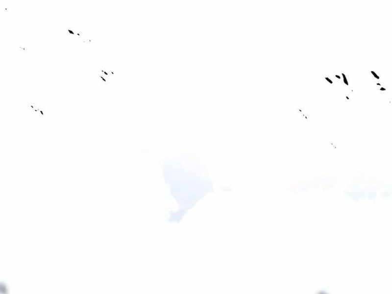 Fate/Extra Ccc Fox Tail Chapter 20.5 - Trang 2