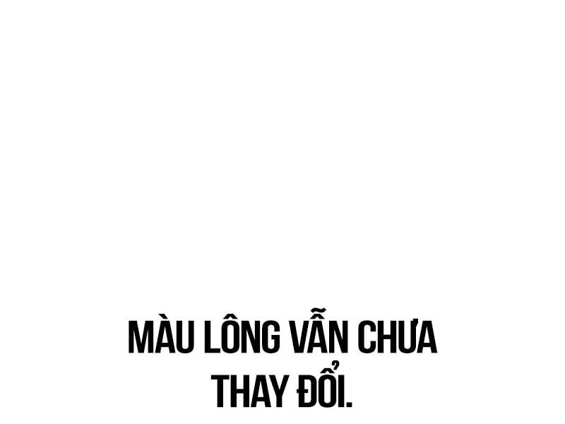 Fate/Extra Ccc Fox Tail Chapter 29.5 - Trang 2