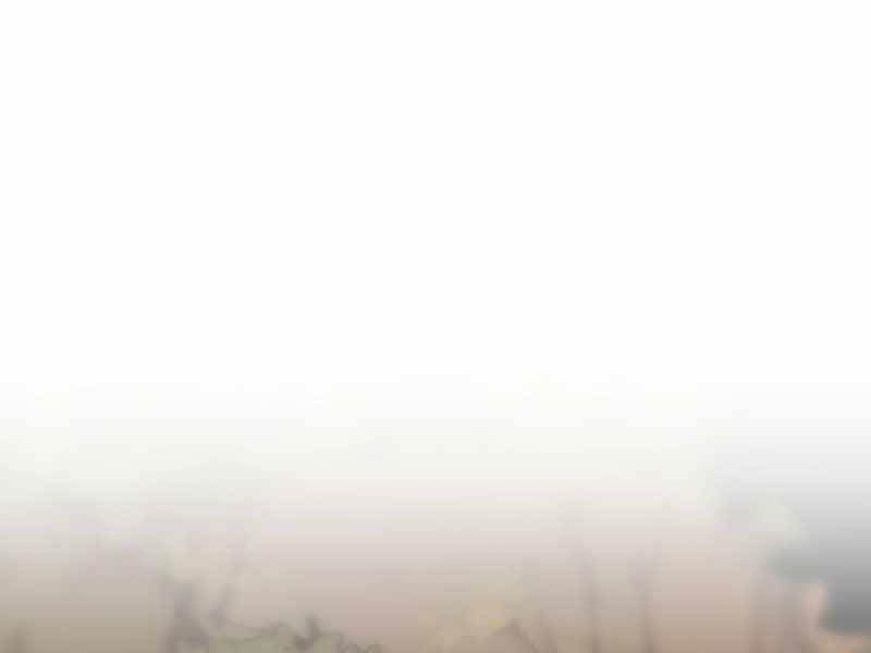 Fate/Extra Ccc Fox Tail Chapter 32.5 - Trang 2