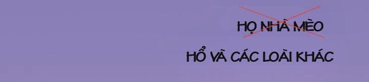 Flow Chapter 9 - Trang 2