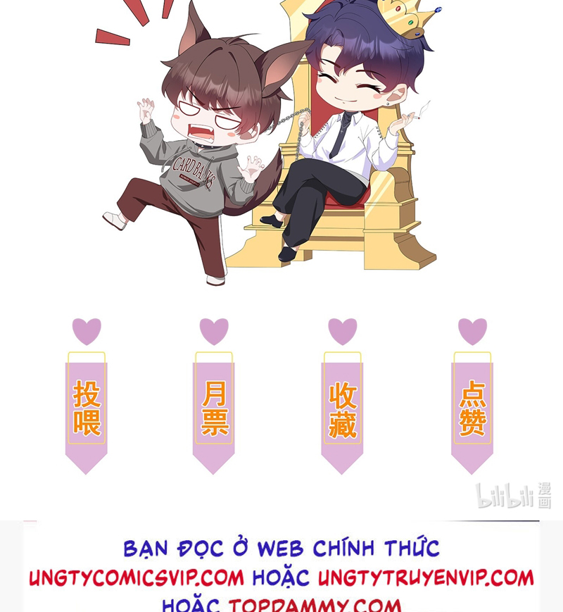 Gài Bẫy Ác Khuyển Chapter 13 - Trang 2