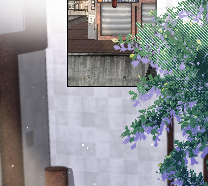 Gài Bẫy Ác Khuyển Chapter 14 - Trang 2