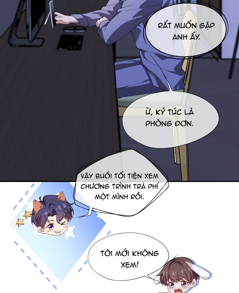 Gài Bẫy Ác Khuyển Chapter 27 - Trang 2