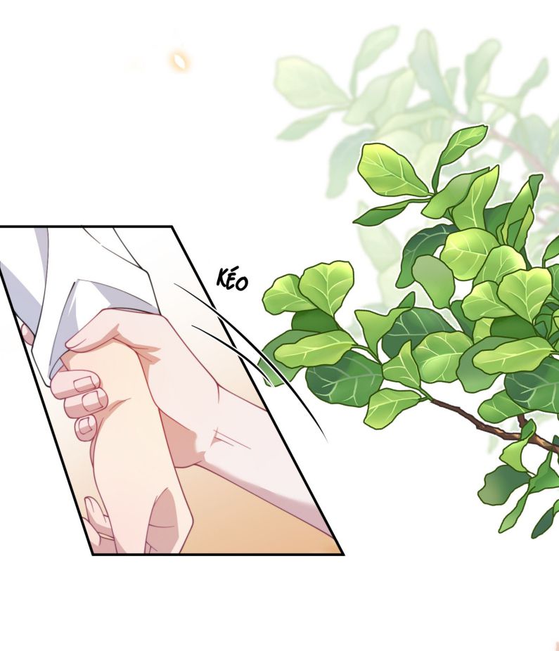 Gài Bẫy Ác Khuyển Chapter 28 - Trang 2