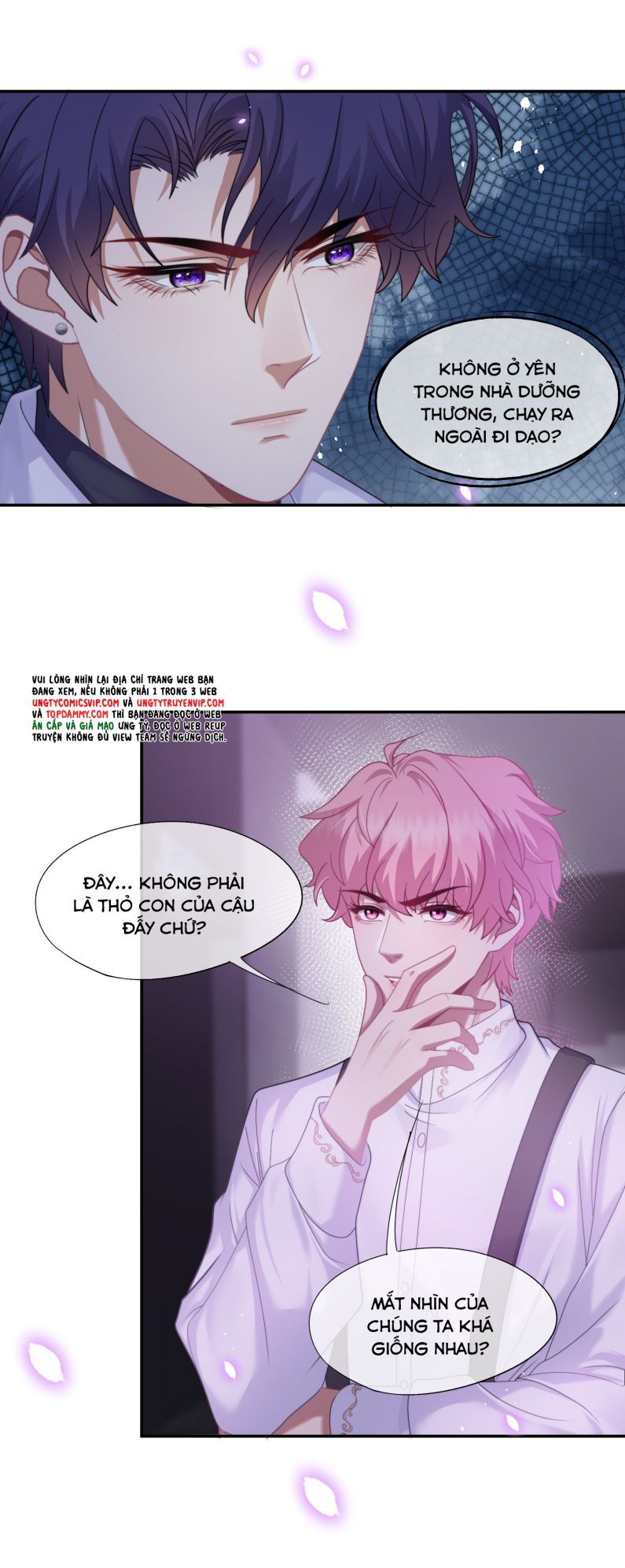 Gài Bẫy Ác Khuyển Chapter 3 - Trang 2