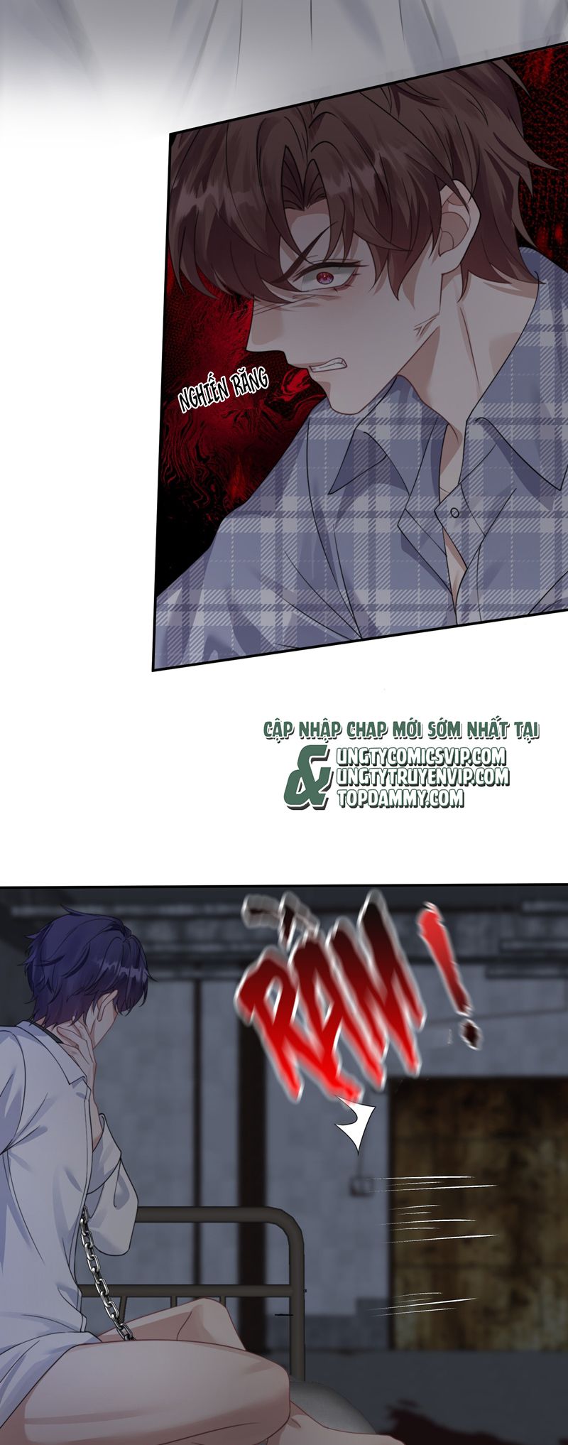 Gài Bẫy Ác Khuyển Chapter 42 - Trang 2